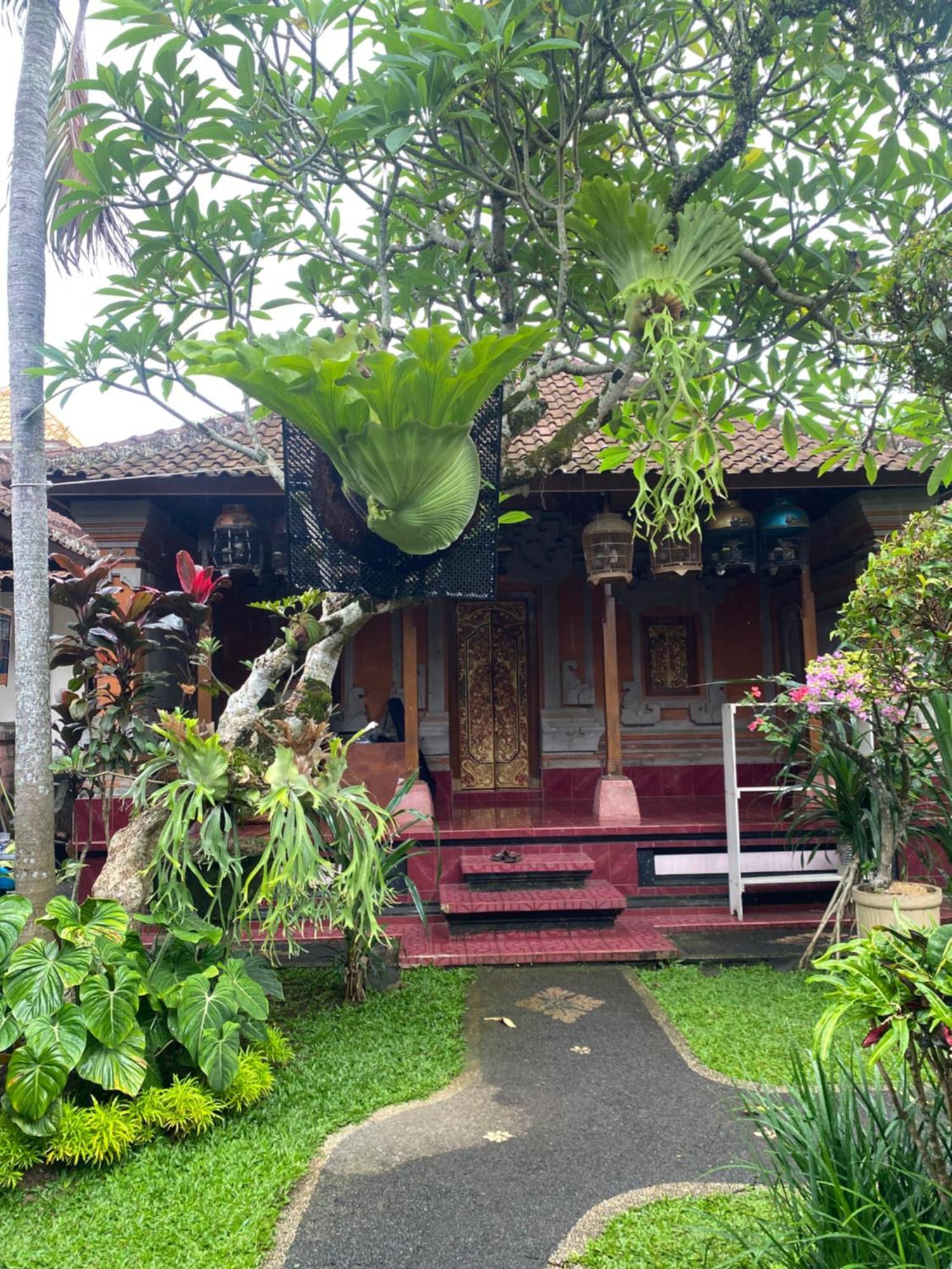 Suryadina Guest House Ubud Exterior foto