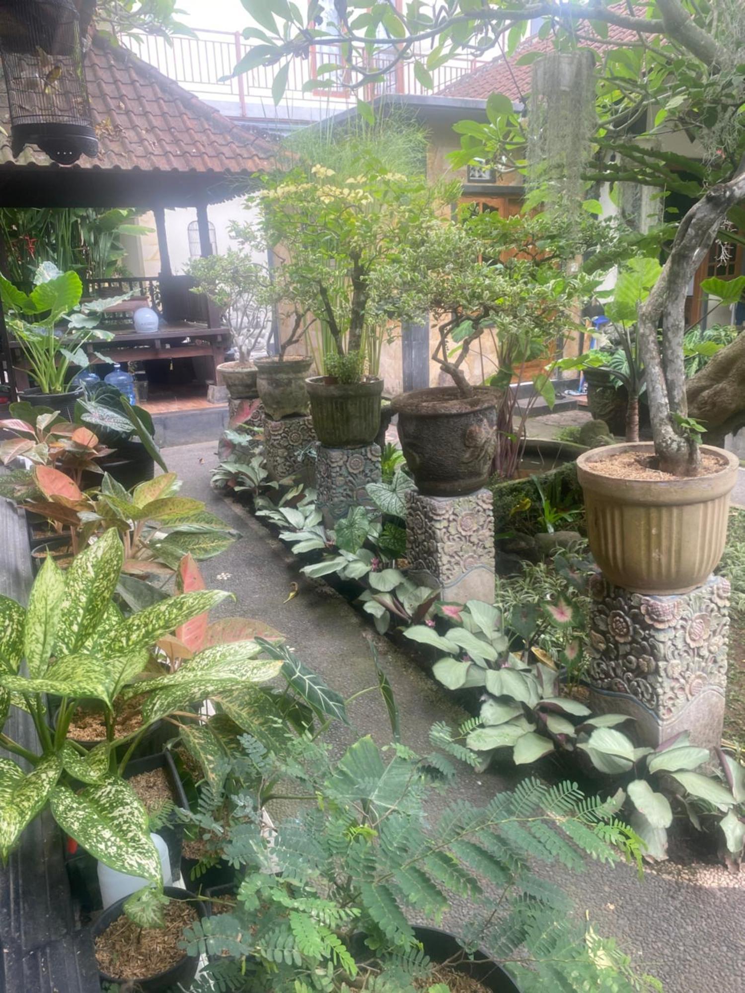 Suryadina Guest House Ubud Exterior foto